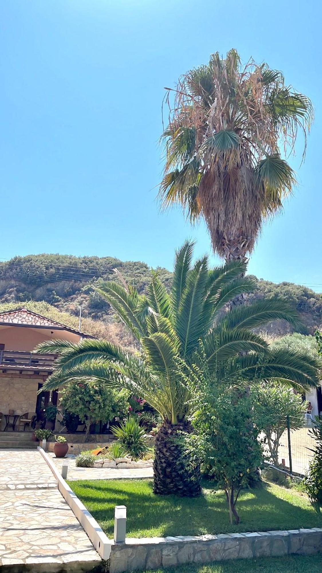 Palma Beach House Σάρτη Εξωτερικό φωτογραφία
